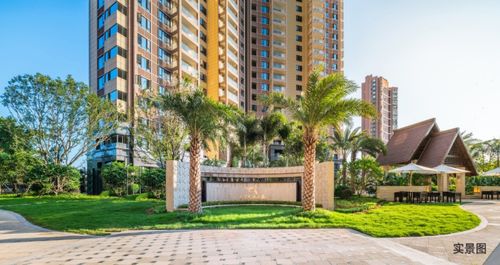 深圳 為什么這么火爆 原因如何 究竟是怎么一回事呢