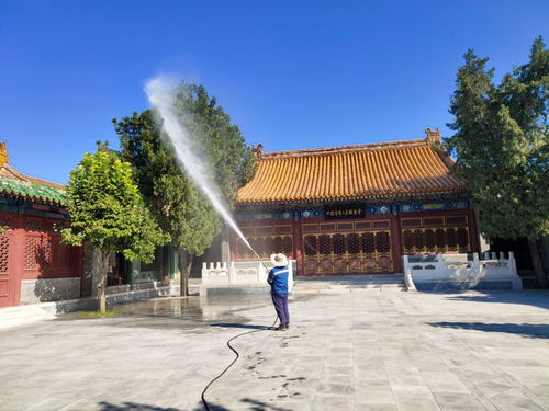 2021歡迎訪問 園林噴藥車出租針對各種樹木 實業集團