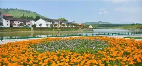 萍鄉(xiāng)這個(gè)地方又獲全省第一 為她點(diǎn)贊