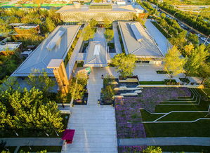 加盟鐵漢生態(tài)近一年,星河園林在天津交出了怎樣的成績單