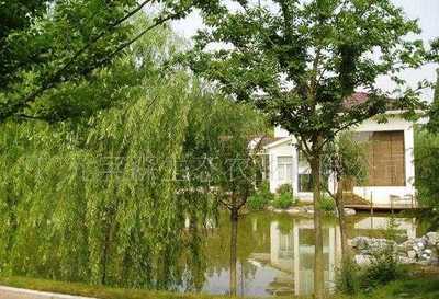 深圳市文科園藝實(shí)業(yè)經(jīng)營部_世界工廠網(wǎng)全球企業(yè)庫