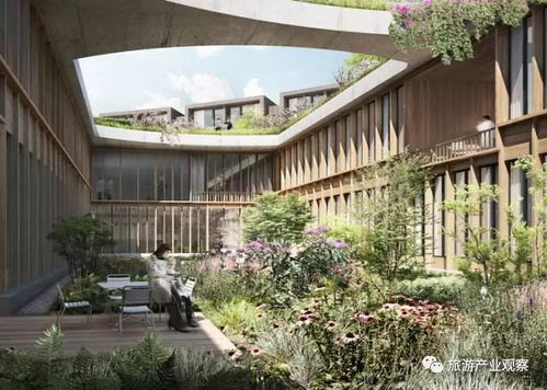 提高森林公園競爭力的五大旅游產品