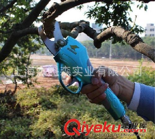 電動園藝剪刀 電動剪刀、果樹電動修枝剪批發、園林園藝修枝剪批發、樹枝修剪機圖片|電動園藝剪刀 電動剪刀、果樹電動修枝剪批發、園林園藝修枝剪批發、樹枝修剪機產品圖片由上海杰魁森實業公司生產提供-