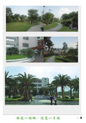 中山佳晨實業園林景觀工程-廣州園中園綠化景觀提供中山佳晨實業園林景觀工程的相關介紹、產品、服務、圖片、價格園中園綠化|廣州綠化|綠化養護|綠化工程|園林綠化|綠化施工|廣州園林綠化|園林規劃設計、園林規劃設計、綠化施工、養護管理、綠植租擺與產銷、廣州園林規劃設計、廣州養護管理、