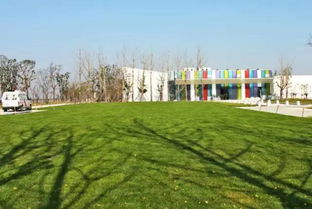 為了2022年杭州亞運(yùn)會(huì),蕭山出了全民大計(jì)劃 還有個(gè)蕭山版 中央公園 ....