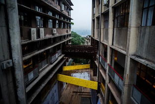 春節假期重慶三日游攻略 探索山城風情與園林實業魅力