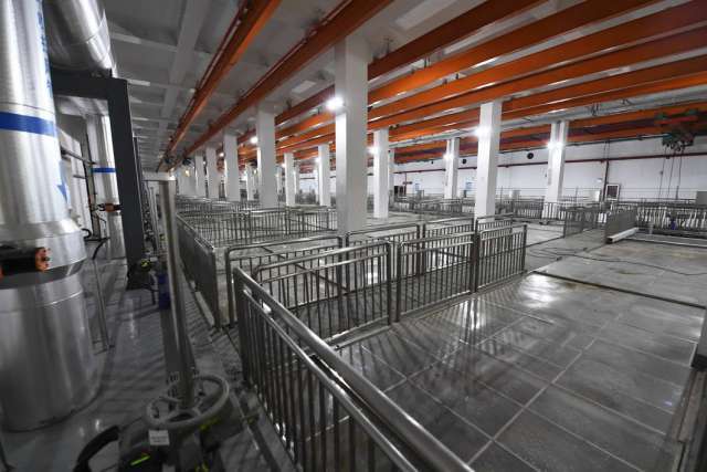 綠茵之下，匠心筑夢 一座公園的園林實業密碼