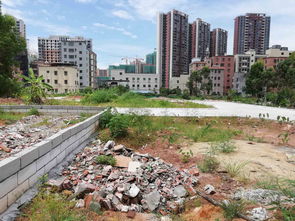 大亞灣中心區澳子村優質地皮出售 80平手續齊全，含過戶僅售135萬